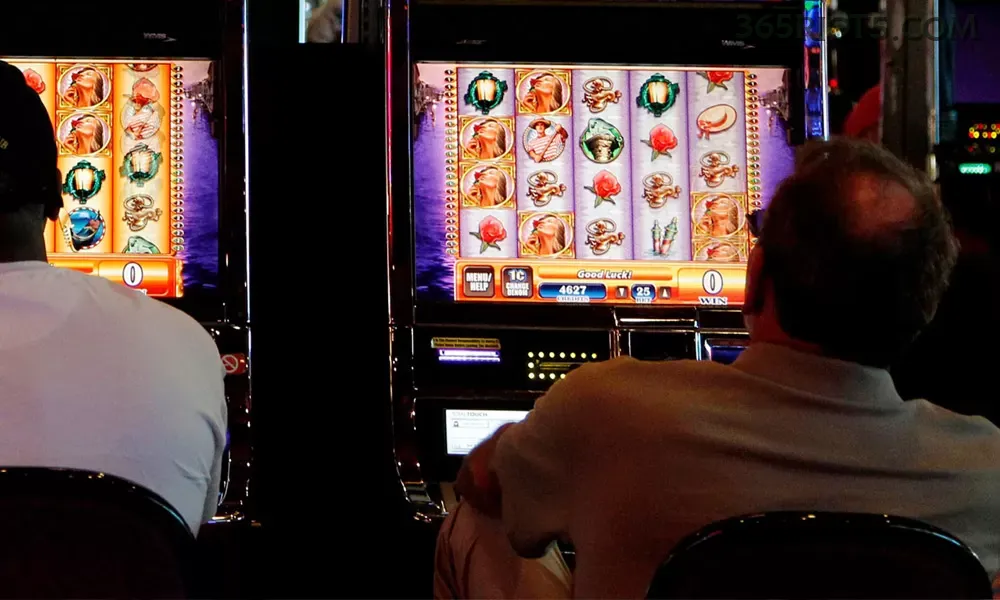 Slots 365rio - Sweet Bonanza e caça-níqueis populares